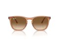 Ray-Ban Slnečné okuliare RB 2210 676451