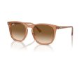 Ray-Ban Slnečné okuliare RB 2210 676451
