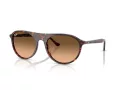 Ray-Ban Slnečné okuliare RB 2215 14293B
