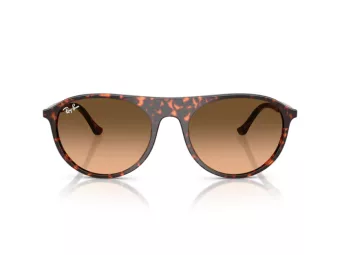 Ray-Ban Slnečné okuliare RB 2215 14293B