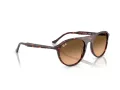Ray-Ban Slnečné okuliare RB 2215 14293B