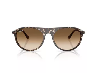 Ray-Ban Slnečné okuliare RB 2215 143151