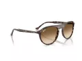 Ray-Ban Slnečné okuliare RB 2215 143151