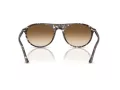 Ray-Ban Slnečné okuliare RB 2215 143151