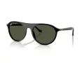 Ray-Ban Slnečné okuliare RB 2215 901/31