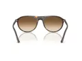 Ray-Ban Slnečné okuliare RB 2215 902/51