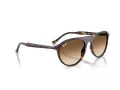 Ray-Ban Slnečné okuliare RB 2215 902/51