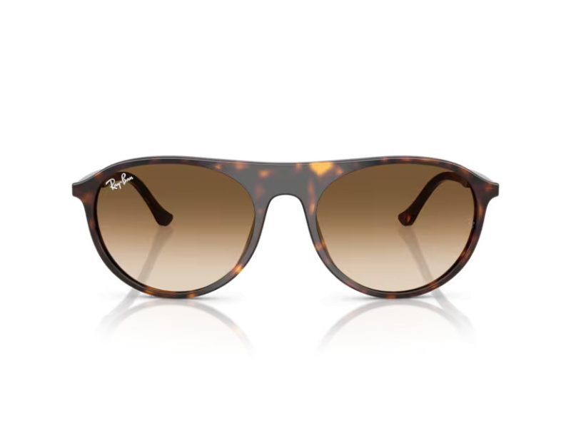 Ray-Ban Slnečné okuliare RB 2215 902/51