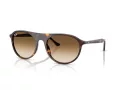 Ray-Ban Slnečné okuliare RB 2215 902/51