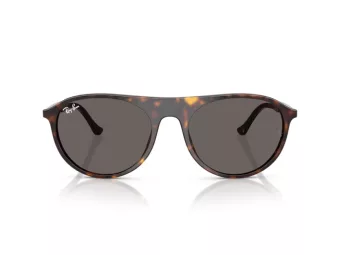 Ray-Ban Slnečné okuliare RB 2215 902/B1