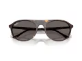 Ray-Ban Slnečné okuliare RB 2215 902/B1