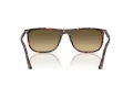 Ray-Ban Slnečné okuliare RB 2216 14290A
