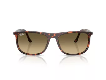 Ray-Ban Slnečné okuliare RB 2216 14290A