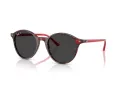 Ray-Ban Bernard Slnečné okuliare RB 2230 141948