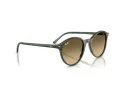 Ray-Ban Bernard Slnečné okuliare RB 2230 14210A