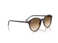 Ray-Ban Bernard Slnečné okuliare RB 2230 902/51