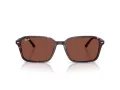 Ray-Ban Raimond Slnečné okuliare RB 2231 1416C5