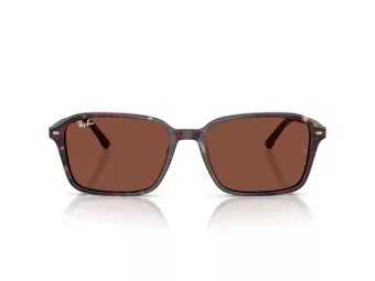 Ray-Ban Raimond Slnečné okuliare RB 2231 1416C5