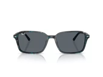 Ray-Ban Raimond Slnečné okuliare RB 2231 1417R5