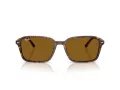 Ray-Ban Raimond Slnečné okuliare RB 2231 141833