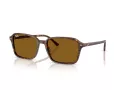 Ray-Ban Raimond Slnečné okuliare RB 2231 141833