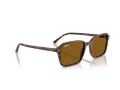 Ray-Ban Raimond Slnečné okuliare RB 2231 141833