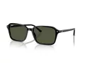 Ray-Ban Raimond Slnečné okuliare RB 2231 901/31