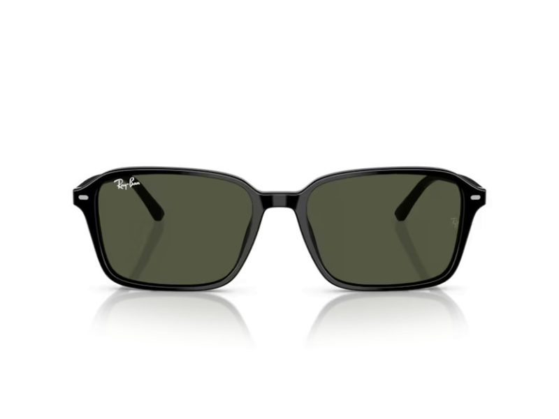 Ray-Ban Raimond Slnečné okuliare RB 2231 901/31
