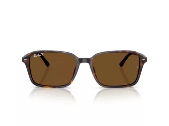 Ray-Ban Raimond Slnečné okuliare RB 2231 902/57
