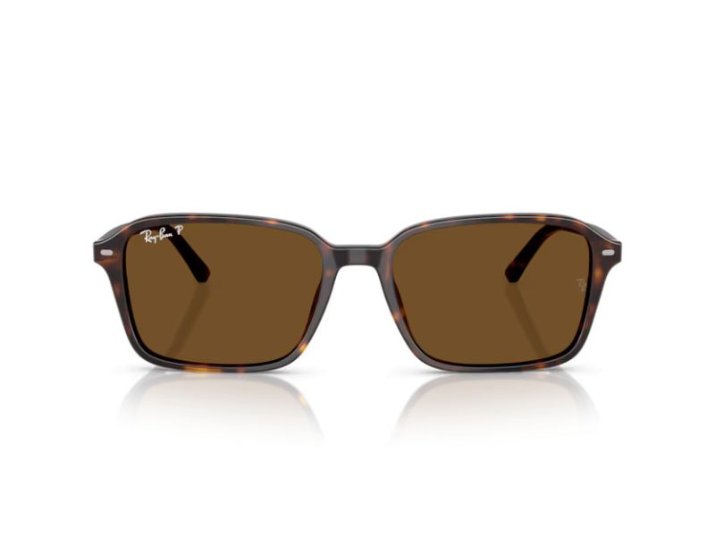 Ray-Ban Raimond Slnečné okuliare RB 2231 902/57