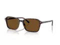 Ray-Ban Raimond Slnečné okuliare RB 2231 902/57