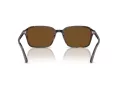 Ray-Ban Raimond Slnečné okuliare RB 2231 902/57