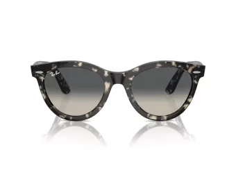 Ray-Ban Wayfarer Way Slnečné okuliare RB 2241 133371
