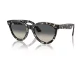 Ray-Ban Wayfarer Way Slnečné okuliare RB 2241 133371