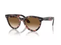 Ray-Ban Wayfarer Way Slnečné okuliare RB 2241 133451