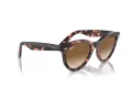 Ray-Ban Wayfarer Way Slnečné okuliare RB 2241 133451