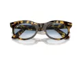 Ray-Ban Wayfarer Oval Slnečné okuliare RB 2242 13323F