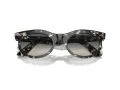 Ray-Ban Wayfarer Oval Slnečné okuliare RB 2242 133371