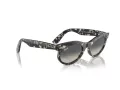 Ray-Ban Wayfarer Oval Slnečné okuliare RB 2242 133371