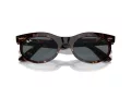 Ray-Ban Wayfarer Oval Slnečné okuliare RB 2242 902/R5