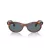 Ray-Ban Wayfarer Oval Slnečné okuliare RB 2242 954/3R