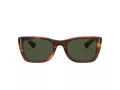 Ray-Ban Caribbean Slnečné okuliare RB 2248 954/31