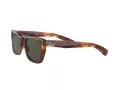 Ray-Ban Caribbean Slnečné okuliare RB 2248 954/31