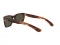 Ray-Ban Caribbean Slnečné okuliare RB 2248 954/31