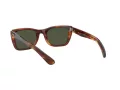 Ray-Ban Caribbean Slnečné okuliare RB 2248 954/31
