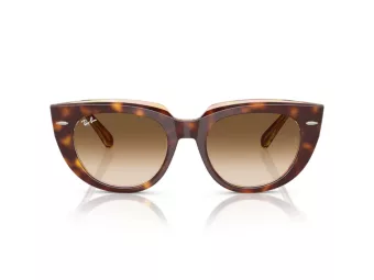Ray-Ban Doreen Slnečné okuliare RB 2286 141451
