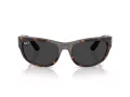 Ray-Ban Mega Balorama Slnečné okuliare RB 2289 902/48