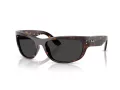 Ray-Ban Mega Balorama Slnečné okuliare RB 2289 902/48