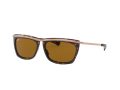 Ray-Ban Olympian Ii Slnečné okuliare RB 2419 1309/33