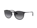 Ray-Ban Erika Metal Slnečné okuliare RB 3539 002/8G